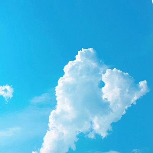 u=2320281608,3198034025&fm=26&gp=0.jpg
